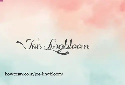 Joe Lingbloom