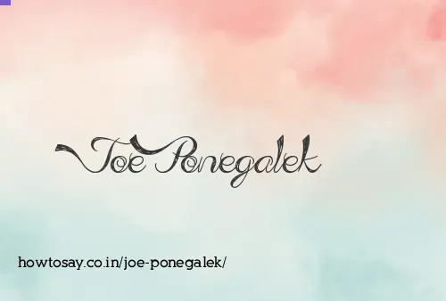 Joe Ponegalek