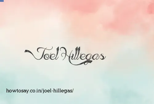 Joel Hillegas