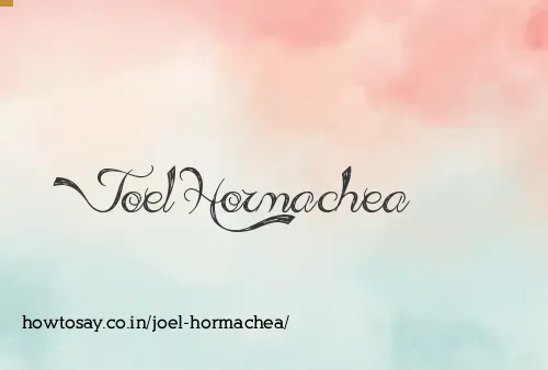 Joel Hormachea