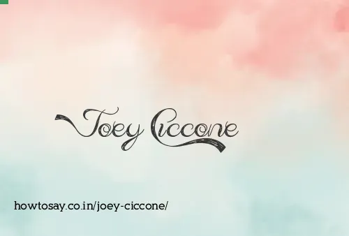 Joey Ciccone