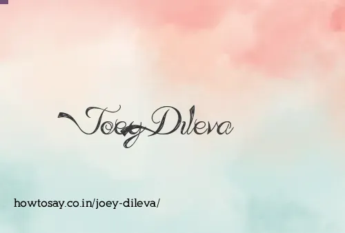 Joey Dileva