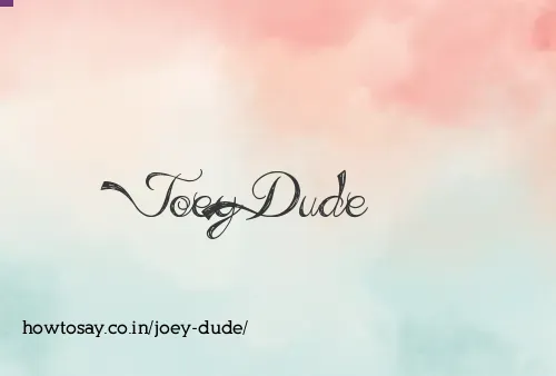 Joey Dude