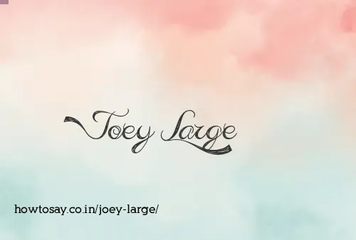 Joey Large