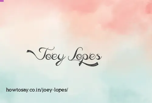 Joey Lopes
