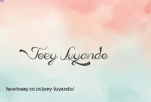 Joey Luyando