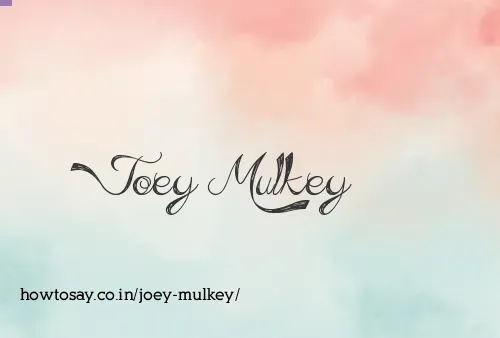 Joey Mulkey