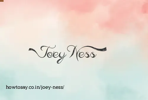 Joey Ness