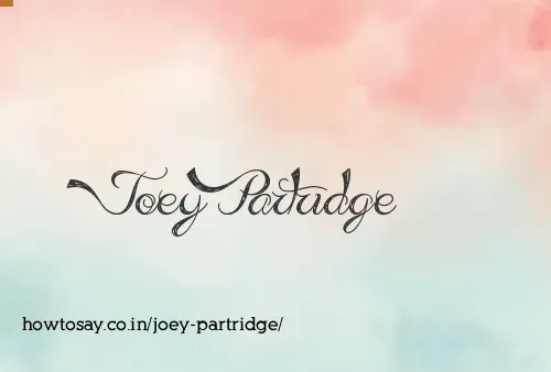 Joey Partridge
