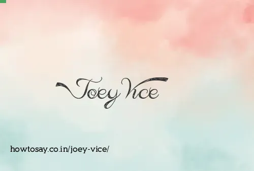 Joey Vice