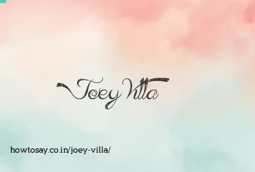Joey Villa