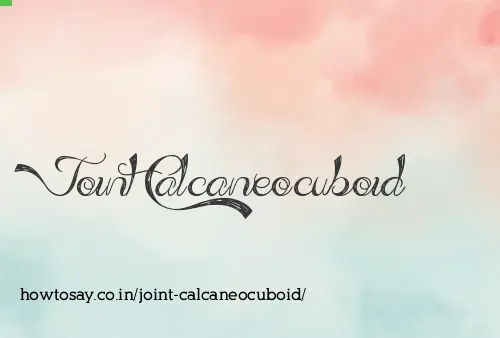 Joint Calcaneocuboid