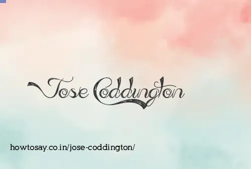 Jose Coddington