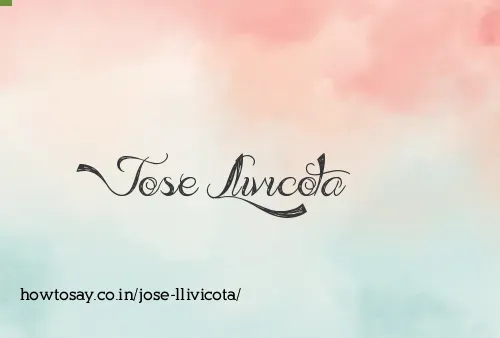 Jose Llivicota