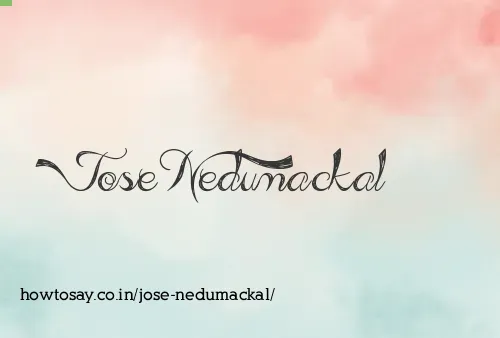 Jose Nedumackal