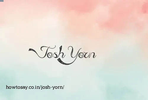 Josh Yorn