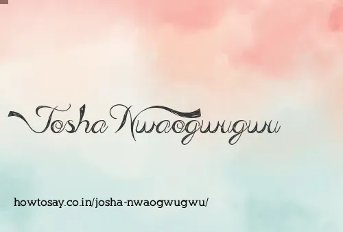 Josha Nwaogwugwu