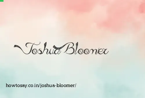 Joshua Bloomer