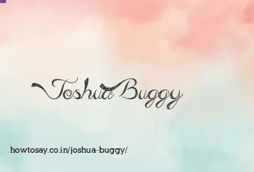 Joshua Buggy