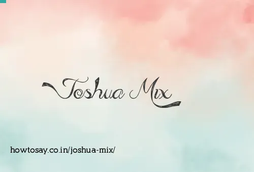 Joshua Mix