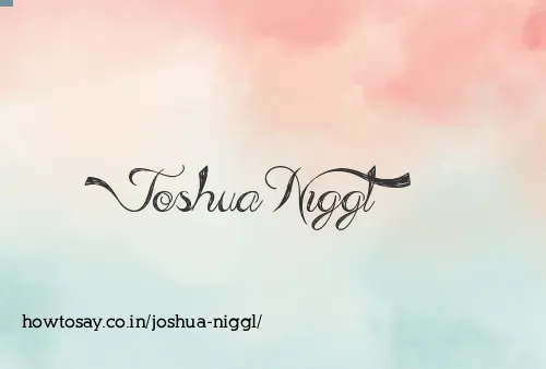 Joshua Niggl