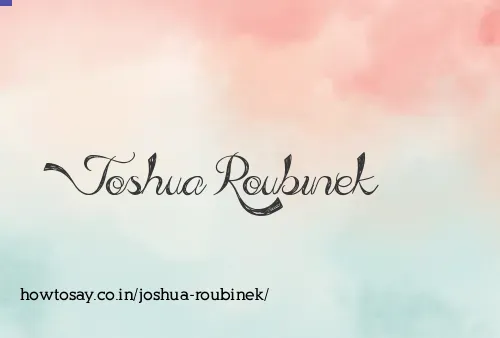 Joshua Roubinek