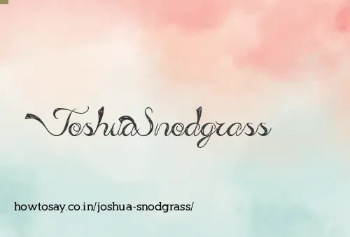Joshua Snodgrass