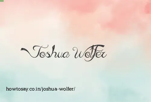 Joshua Wolfer