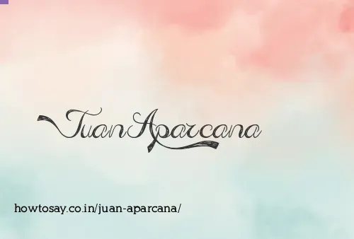 Juan Aparcana