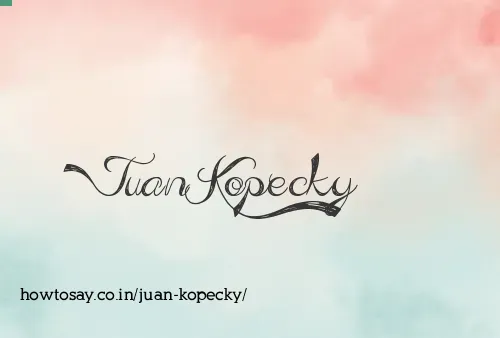 Juan Kopecky
