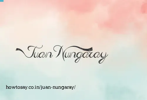 Juan Nungaray