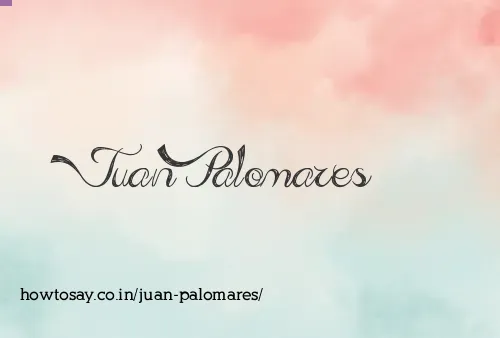 Juan Palomares