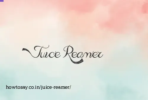 Juice Reamer