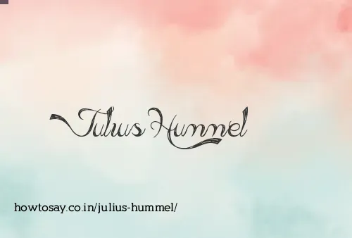 Julius Hummel