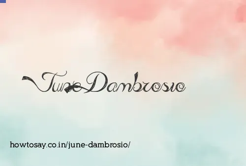 June Dambrosio