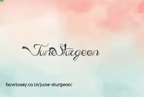 June Sturgeon
