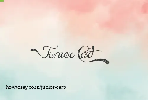 Junior Cart