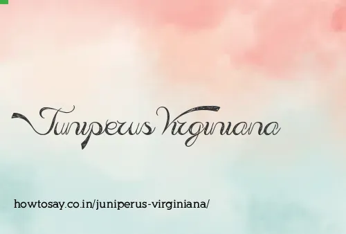 Juniperus Virginiana