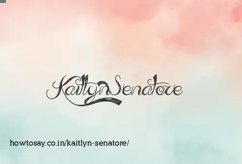 Kaitlyn Senatore