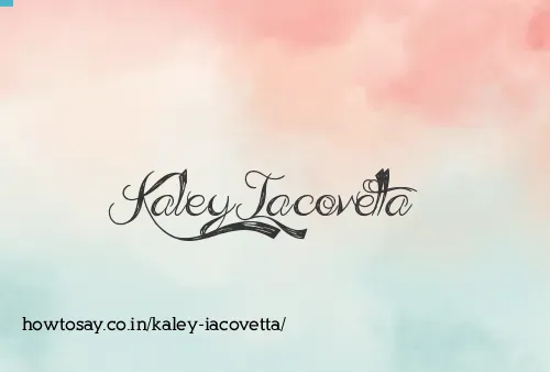Kaley Iacovetta