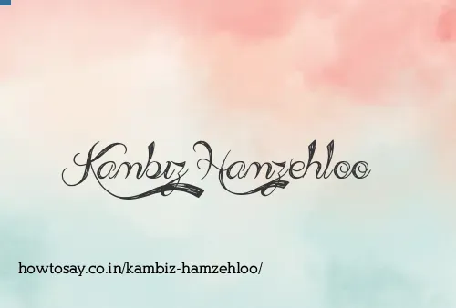 Kambiz Hamzehloo