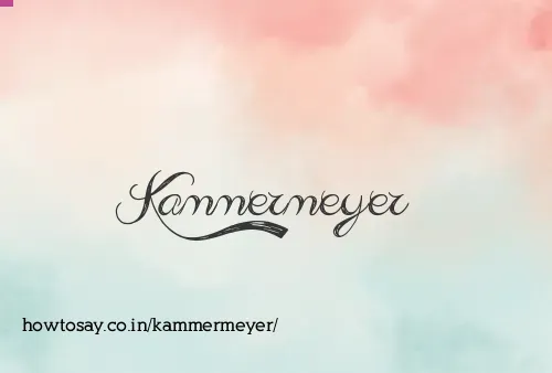 Kammermeyer