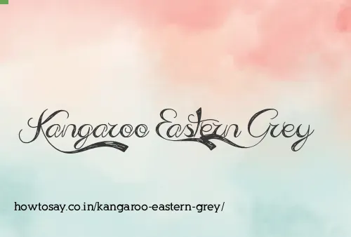 Kangaroo Eastern Grey