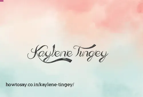 Kaylene Tingey