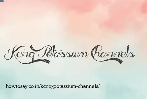 Kcnq Potassium Channels