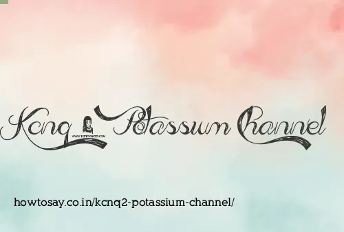 Kcnq2 Potassium Channel