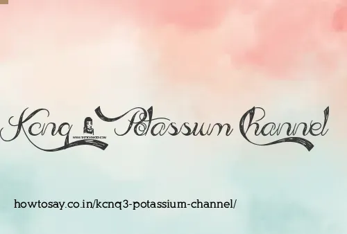 Kcnq3 Potassium Channel