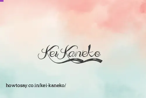 Kei Kaneko