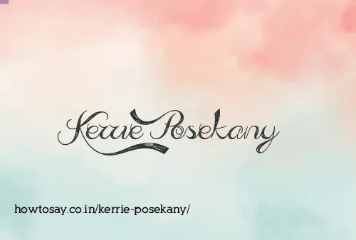 Kerrie Posekany