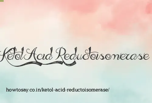 Ketol Acid Reductoisomerase